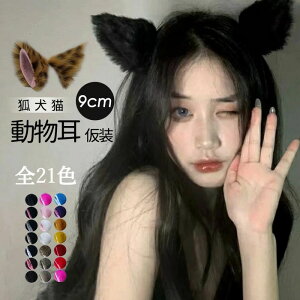  J`[V wAs   L RXv  9cm tFCNt@[   ANZT[ fB[X Y 21F sN   O[ F F    w  n