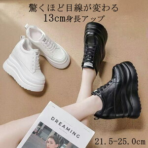 tHV fB[X V[Y 13cm Cq[ Xj[J[  r JWA RC ?  EFbW\[ ubN zCg