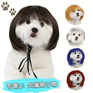 nEB  LpEBbO RXv  ybgEBbOXq RX`[ fB[X q qL ^ ^蕨 ʔ ڂɗ ΂  ϐg Lƌp NX}