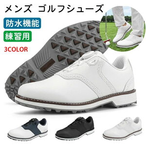 StV[Y Y fB[X L St XpCNX 2E 4E St XpCNX X|[cV [Y StC gbLOV[ Y y  b S Kp h ~ 