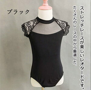 qoG  V[gX[u [X  I[vobN oG\ oGI^[h LbY_Xߑ XJ[g K sN  O[ 120 130 140 150 160 170 180