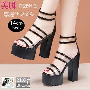 T_ fB[X `L[q[ q[ ό` obNWbv 14Z`q[ NAT_ t ₷ 傫TCY TCYnCq[ r  킢 21.0 