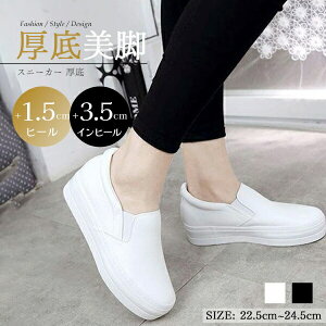 ɂȂ ₷ r ɂ Xj[J[  fB[X V[Y Xb| C Xj[J[ ؍ PU 킢 Xj[J[ n y ₷ JWA zCg ubN 