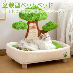 Lp ybgxbh ^ ܂Ƃ I[V[Y  ybg\t@    Vv ˂ lR qL ߂Ƃ ܌ ܂݂ ybg\t@[ NbV ybg}bg 