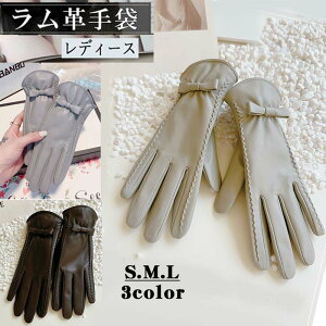 {v  fB[X v ibpv x[W O[  U[ S M L AC{[ n{A