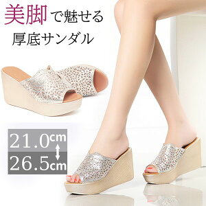 ~[ T_  ₷ ɂȂ LL ƂȂ  TCY 傫TCY q[11Z` 芴 NbV r  T_ y EFbW\[ 