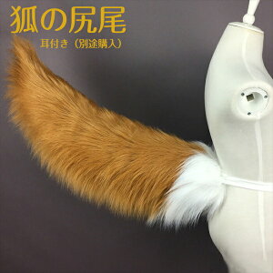 RXv ς̐K Aj} RR  ANZT[ RX`[  w  w Be ʔ ϑ p[eB[ Cxgpi RX`[ ϑ  NX}X