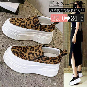 Xj[J[ fB[X q[  ubN  zCg x[W V[gu[c jbg \bNXu[c jbg 킢 ₷ V[Y t  [q[ tbg 傫TCY 