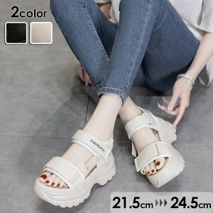 EFbW\[ X|[cT_  fB[X 킢 IV r 傫TCY TCY q[6.5cm W[p ][g ^EpT_ r Sn JWA C l