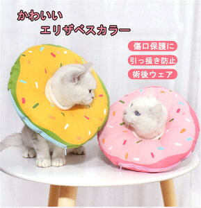 GUxXJ[ Lp \tg 炩 Ȏ y p _炩 wXPA ی rߖh~ ޖh~ 畆a D pEFA K \ ی rߖh~ ~h~  