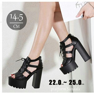 T_ fB[X `L[q[ q[ 14.5Z`q[ XAbv xg t ₷ 傫TCY TCY r nCq[ gAbv r  킢 