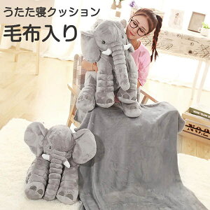 t@[XggC Q ѕz  uPbg Aj}  ]E ʂ QNbV ӂӂ ѕz NX}X v[g Ђ| o ԓp a v[