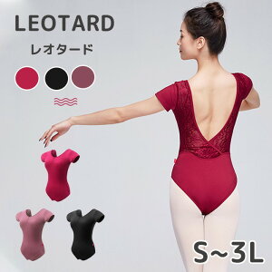 oG I^[h l fB[X WjA  [X K pbht Vv  킢  Lk Xgb` ʋC pbht oGpi bX oGpi 