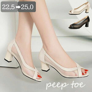 I[vgD pvX ɂȂ _炩 fB[X  q[5.5cm ʋ i tH[} `L[q[ A[hgD [X 20 30 40 T_  ɂ 傫TC