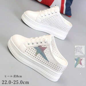  Xj[J[ fB[X ₷ E₷ ʋC   T_ bV V[X[  tbg q[8cm 20 30 40 JWA T_  ɂ 傫