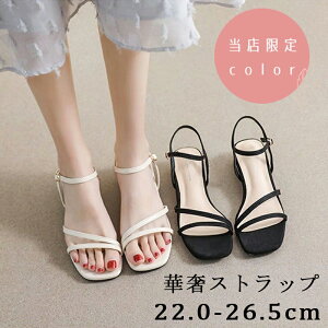 ؚXgbvT_ XNGAgE T_ TCY Ƃ  xg C  l r 20 30 40 JWA T_  ɂ 傫TCY r T_ 