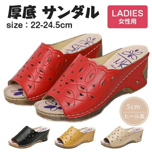 T_ fB[X  ₷ ~[ EFbW\[  Xbp A[`T|[g y ~ ItBXT_