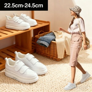 Xj[J[ fB[X }WbNe[v Xj[J[ 7cmq[Abv ؍ JWA V[Y tH   r ₷  ʋ ʊw f[g V[Y ۉ 