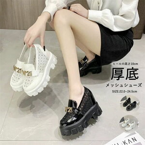 pvX fB[X bVV[Y pvX `[ V[Y C JWA ʋ ʊw ₷ ɂȂ _炩 20 30 40 T_  ɂ 傫TCY J