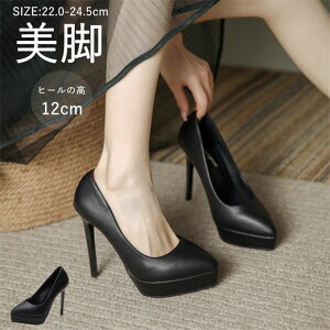 pvX fB[X ɂȂ nCq[ sq[ ItBX |CebhgD EȂ _炩 ₷ o Ȃ 20 30 40 T_  ɂ 傫TCY 