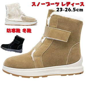 Xm[u[c fB[X kC 傫TCY h h Xm[V[Y Ȃ  hC ~C AEghA ʊw  y C 4e N g 킢 oR EB^[u[c 