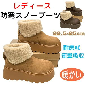 Xm[u[c fB[X C hu[c hC ~C ₷ _炩  N ϖ Ռz  ~ y ʊw ʋ oR ~p E-R[q[ 25.0 cm u[c fB[X 