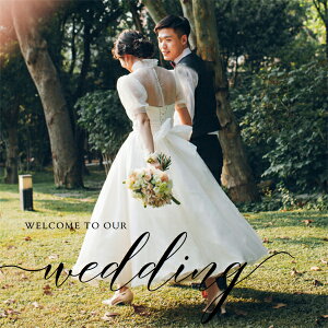 EFfBOhX EGfBOhX  GpCAhX ԉ 񎟉hX  OB I  ItzCg V[ [X uC_ ԉ 傫TCY 񎟉 OB 