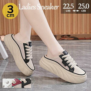 Xb| fB[X    ƂȂ ʋCQ [XAbv ҂ݏグ q[3Z` g킸 傫TCY T}[ JWA  o| RtH[g V[