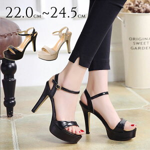 T_ Ƃ fB[X Xgbv nCq[ sq[ ANxg 킢  r K[[ Xgbv ߉\ EhgD TCY ubN