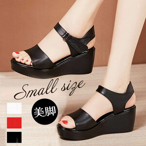 T_ fB[X  EFbW\[ RtH[gT_ 傫TCY q[T_ nCq[ TCY Sn悢  EFbW T_ r  C 