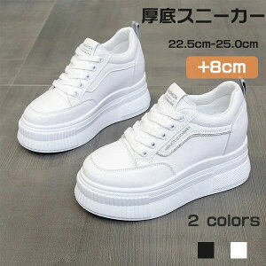  Xj[J[ fB[X Xj[J[ r V[Y gAbv Xj[J[ y h ₷ ɂ  r nC\[ y g ubN zCg 22.5/23.0