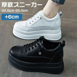  Xj[J[ fB[X Xj[J[ r V[Y gAbv Xj[J[ y h ₷ ɂ  r nC\[ y g ubN zCg 22.0/22.5