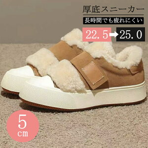 Xj[J[ V[gu[c fB[X C r N 傫TCY ₷ gAbv Vv h uE ubN x[W r w  Xj[J[ fB[X ʊw C X