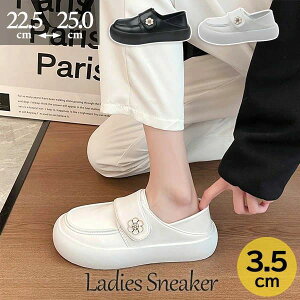 Xb|   Ɠ| Xj[J[ fB[X  [Jbg LoXV[Y g킸 傫TCY T}[ JWA  o| RtH[g V[Y 