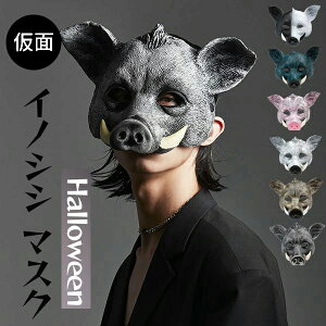 ���i�摜