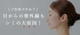 【ただのUVカットサングラスではダメなんです!】≪日本製≫メラニンサングラススリムなフレームタイプケース付【ロサブランオリジナル】国産鯖江眼鏡レディース【RCP】