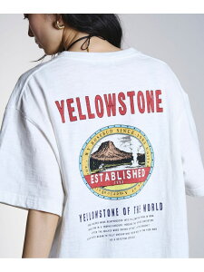 WILDWOOD PARK S/S TEE ROSE BUD ���[�Y�o�b�h �g�b�v�X �J�b�g�\�[�ET�V���c �O���[ �z���C�g�y���������z[Rakuten Fashion]