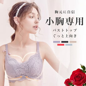 ＼25％OFFクーポン配布中／ 小胸さん専用 ブラジャー 小胸 ノンワイヤー ブラジャー トップがあがる！ 小胸 ブラ 脇高ノンワイヤーブラ 胸を大きくみせる レースブラ ワイヤレスブラ レディース 下着 インナー A B Cカップ S M 夜用 産後 NP2