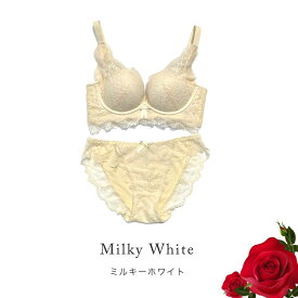 ＼クーポン利用で1,280円／ 濃密谷間 脇高 ブラジャー セット ノンワイヤーブラジャー ショーツ セット レースショーツ 小胸 盛れる 垂れない おすすめ 人気 谷間 ワイヤレスブラ 脇肉 レディース 下着 インナー ナイトブラ 30代 40代 送料無料 NP2