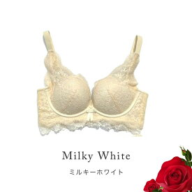 脇高 ブラジャー ノンワイヤーブラ （単品） 脇高 でしっかり補正＆谷間！ ブラジャー ノンワイヤー 下着 かわいい インナー 脇肉 総レース ワイヤレスブラ ナイトブラ レース 30代 夜用 小胸 産後 送料無料 NP2