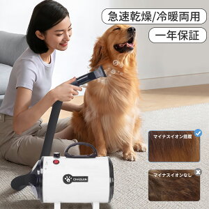 ybghC[  ybghC[ ybghC[  hC[nEX L hC[ ybg hC[  hC[ }CiXCI x 啗 1500W É 57db ő