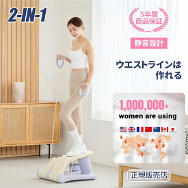 ポイント最大10倍！もうすぐ終了！｜ ステッパー 健康ステッパー 足踏み 室内運動 ダイエット 器具 健康器具 フィットネス トレーニング 静音 体幹 ひねり くびれ ウエスト 踏み台 運動 室内 有酸素運動 お腹 室内 運動器具 ステップ 台お腹 運動器具 脂肪燃焼 宅トレ