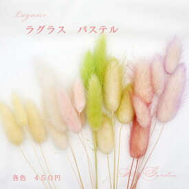 楽天市場 ドライフラワー ラグラスの通販