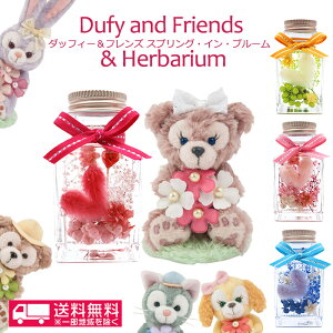 ̓ Mtg  v[g st4/1̔w_btB[&tYXvOECEu[n[gn[oEZbgxfBYj[ ̓ ԃMtg a j L