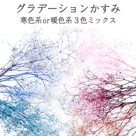 楽天市場 色 寒色系 暖色系 花 観葉植物 花 ガーデン Diy の通販