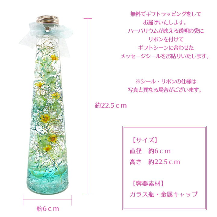 楽天市場 送料無料 プリンセス クォーツ ハーバリウム ディズニー 誕生日 結婚式 結婚祝い 結婚記念日 クリスマス 発表会 花 プレゼント ギフト パワーストーン ディズニー ホワイトデー お返し 枯れない花 ローズ ガーデン