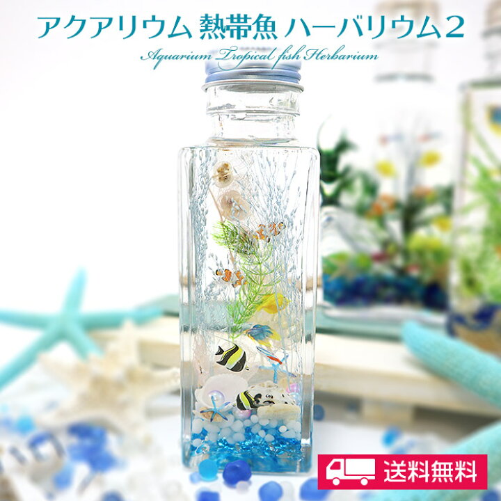 楽天市場 母の日 父の日 ギフト 花 プレゼント 送料無料 アクアリウム 熱帯魚 ハーバリウム 100mlボトル 海 マリン サマー 誕生日 ギフト プレゼント 魚 釣り サーフィン 水族館 アリエル ニモ インテリア 女性 男性 クリスマス ローズ ガーデン