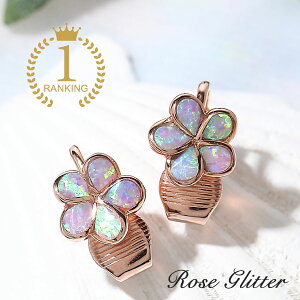 CO  fB[X mz[ sN Ip[ nCAWG[ vA CAO Nbv