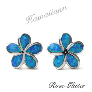 sAX Ip[ nCAWG[ vA u[Ip[  Vo[925 fB[X p  X^bd X^bh sAX t[ lC LL nCAANZT[ 