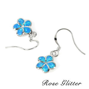 sAX fB[X Ip[ nCAWG[ vA tbNsAX u[Ip[  Vo[925 p  t[ lC LL nCAANZT[ uyVL